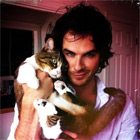 icon140_somerhalder_50